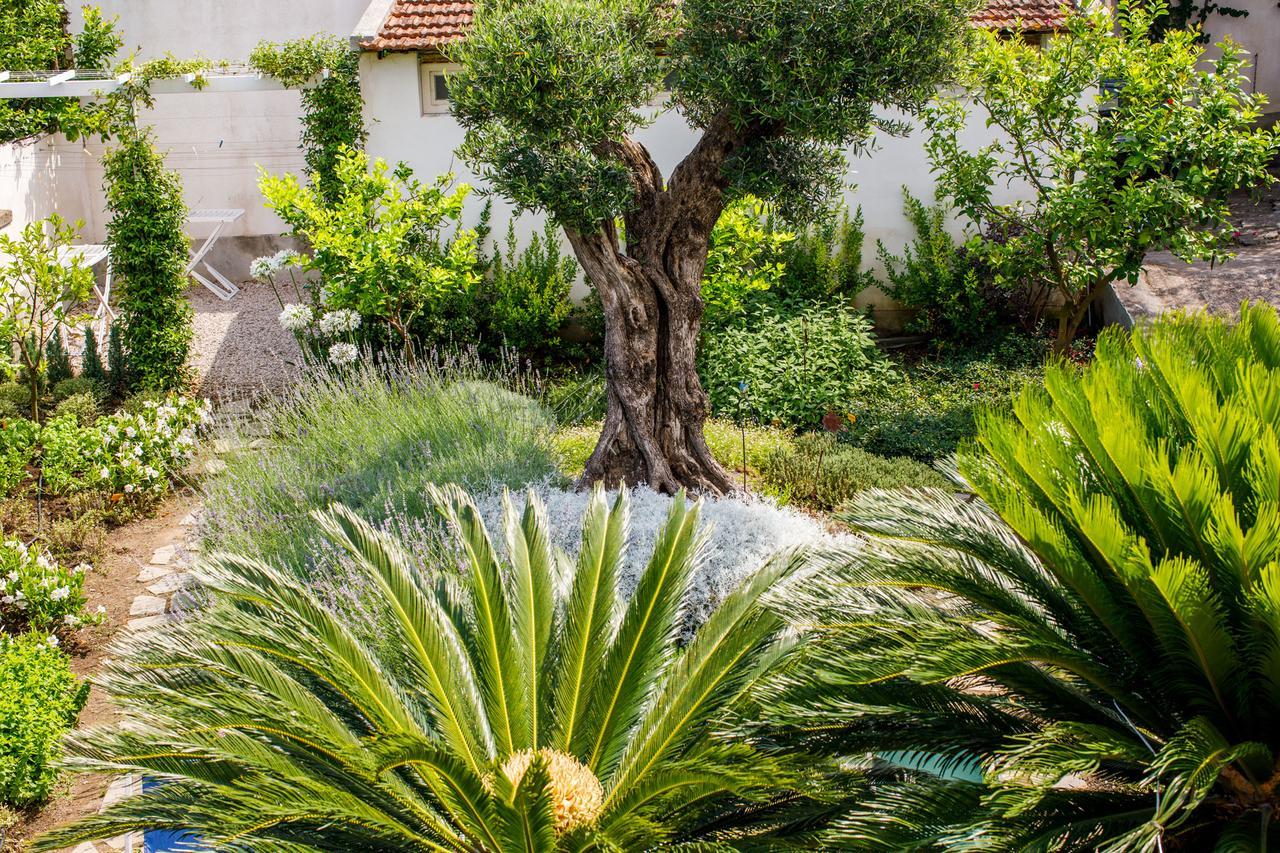 Reggine Holiday Apartments Sant'Agnello Dış mekan fotoğraf