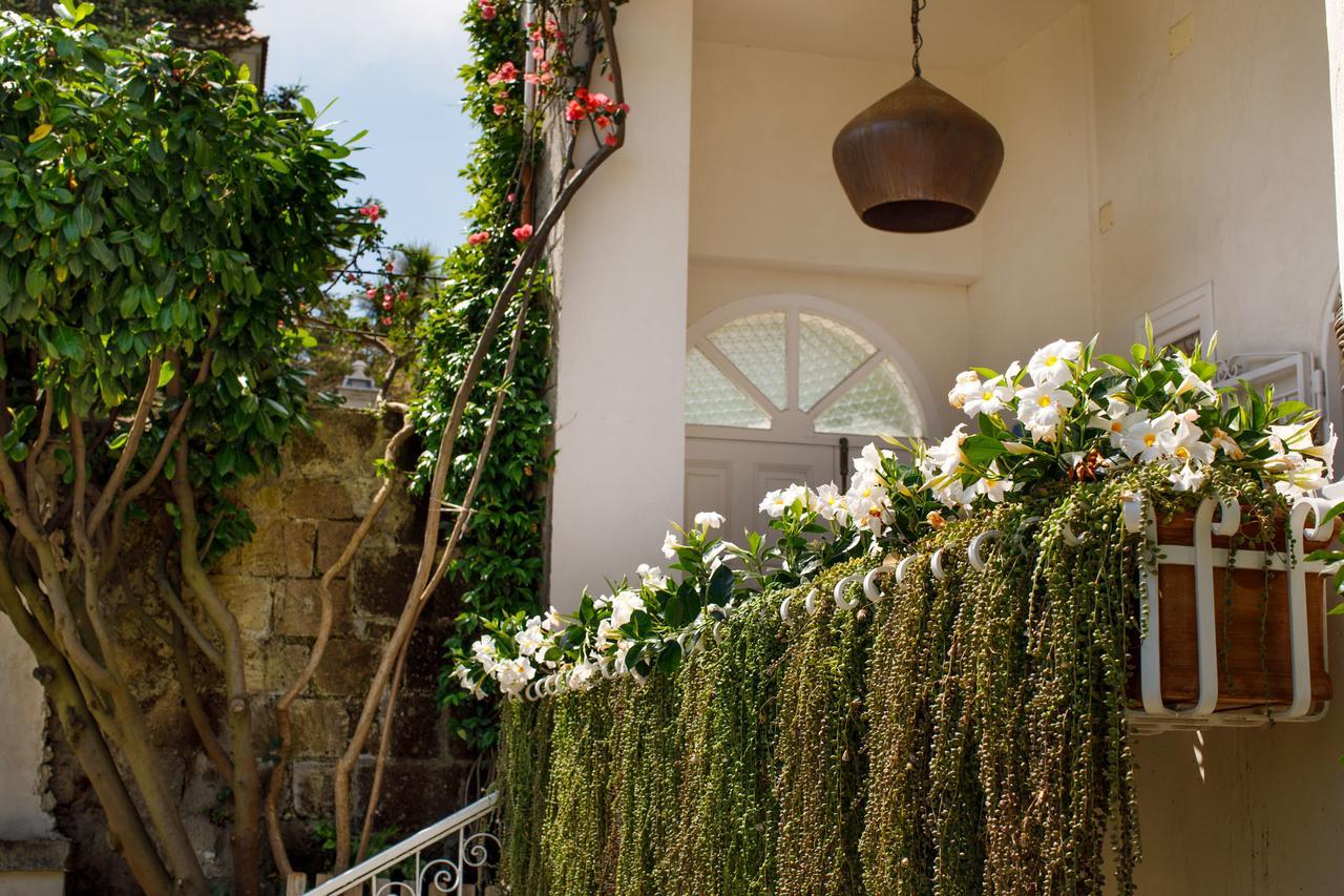 Reggine Holiday Apartments Sant'Agnello Dış mekan fotoğraf