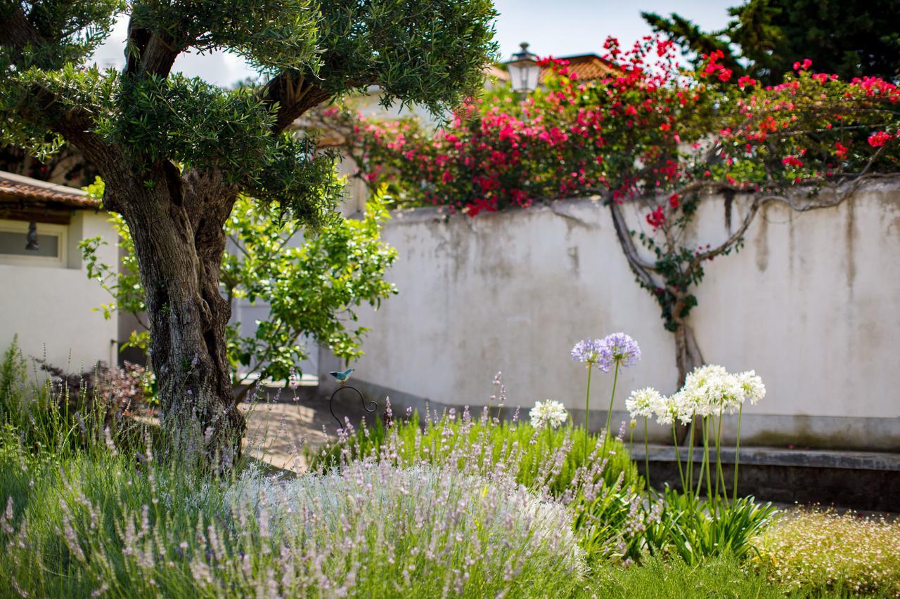 Reggine Holiday Apartments Sant'Agnello Dış mekan fotoğraf